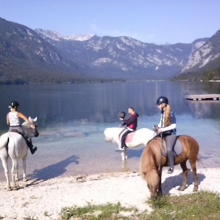 Tubej Mountain Room With Terase Bohinjska Bistrica Екстериор снимка